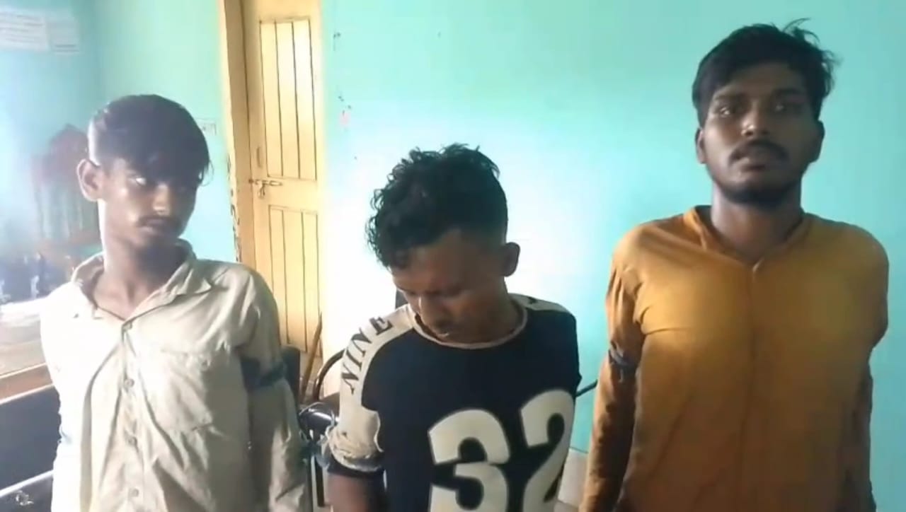 কিশোরগঞ্জে অটোরিকশা ছিনতাই করতে চালককে হত্যা, স্থানীয়দের হাতে আটক তিনজন