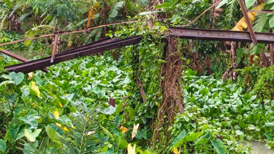 রাজাপুরে পরিত্যক্ত আয়রন ব্রীজের লোহার পাত চুরি হচ্ছে, সংরক্ষণের দাবি স্থানীয়দের