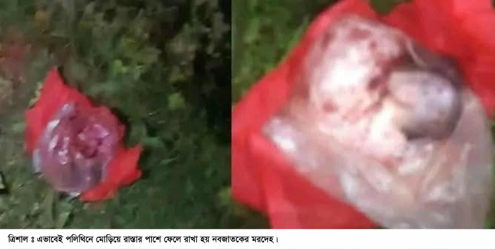রাস্তার পাশে পলিথিনে মোড়ানো ছিল নবজাতকের মরদেহ