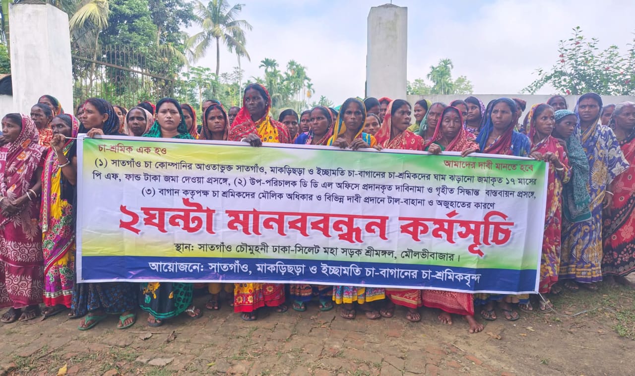 ১৭ মাসের বকেয়া প্রভিডেন্ট ফান্ডের দাবিতে শ্রীমঙ্গলে তিন বাগানের শ্রমিকদের মানববন্ধন