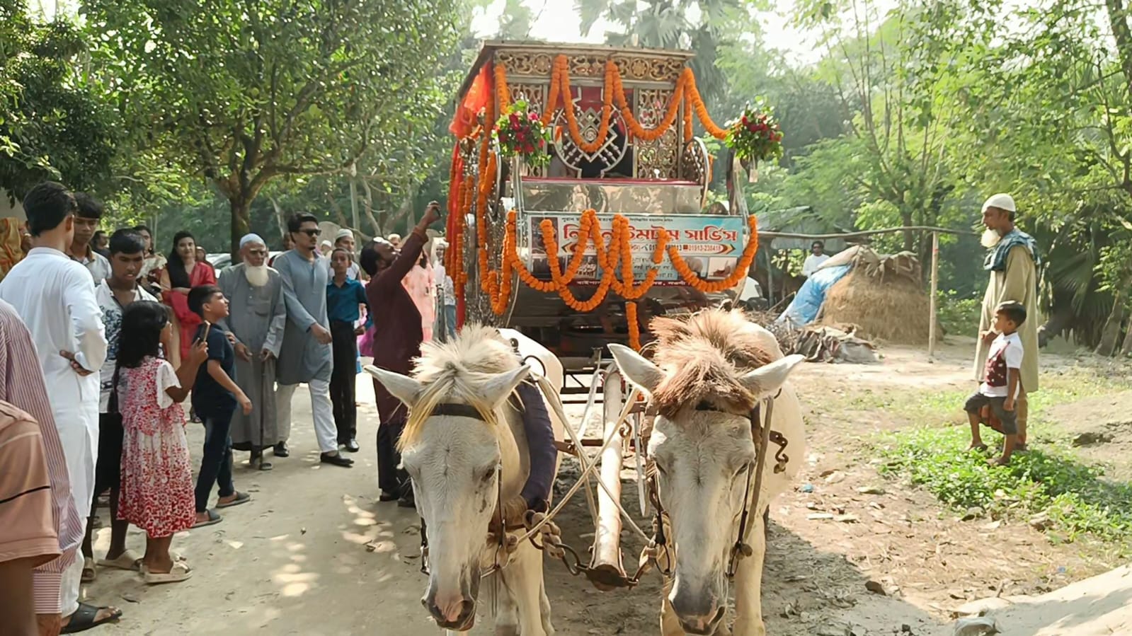 ঘোড়ার গাড়ীতে চড়ে কনের বাড়ি গেলেন বর; গ্রামে উৎসবের আমেজ