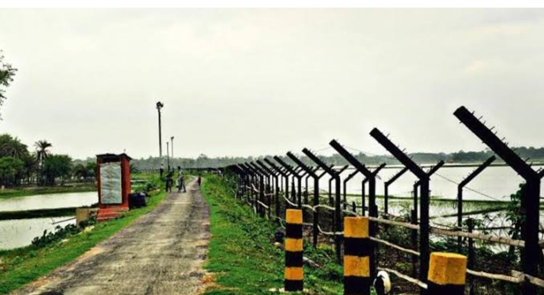 সীমান্তে গরু পার করতে গিয়ে বাংলাদেশী যুবক আটক