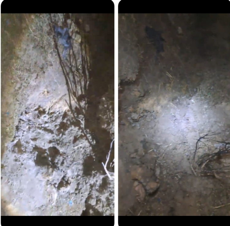 শ্রীমঙ্গলের সীমান্ত এলাকায় মাটির নিচে মর্টার শেল, আতঙ্ক ছড়াল গ্রামে