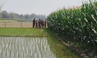 ফের সীমান্তে বিএসএফের কাটাতারের বেড়া অতঃপর