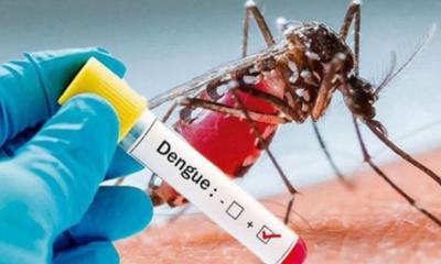 সারাদেশে ডেঙ্গুতে আরও ২ জনের প্রাণহানি