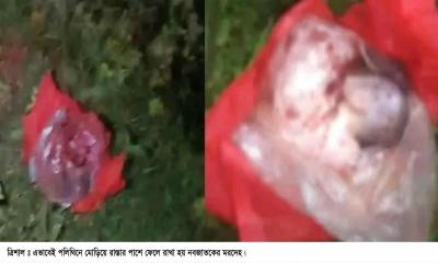 রাস্তার পাশে পলিথিনে মোড়ানো ছিল নবজাতকের মরদেহ