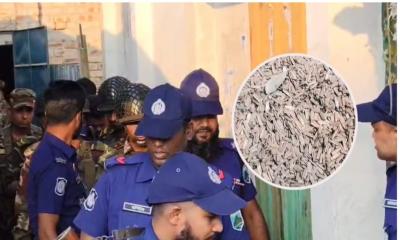 নাটোরের বড়াইগ্রামে ১৩ টন গুলির খোসা নিয়ে চাঞ্চল্য  নাটোরের বড়াইগ্রামে ১৩ টন গুলির খোসা নিয়ে চাঞ্চল্য
