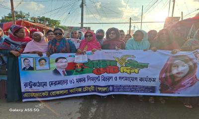 বিএনপির ৩১ দফা অন্যায়ের বিরুদ্ধে ন্যায় প্রতিষ্ঠার রূপরেখা- পলমল