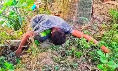 বদলগাছীতে ডাব চুরি করতে গিয়ে গাছ থেকে পড়ে যুবকের মৃত্যু বদলগাছীতে ডাব চুরি করতে গিয়ে গাছ থেকে পড়ে যুবকের মৃত্যু