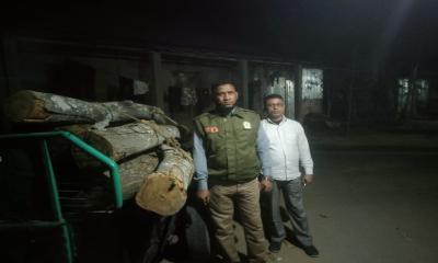 ভানুগাছ রেলওয়ে স্টেশন এলাকায় ৯টি আকাশমনি গাছ চুরি, উদ্ধার বন বিভাগের