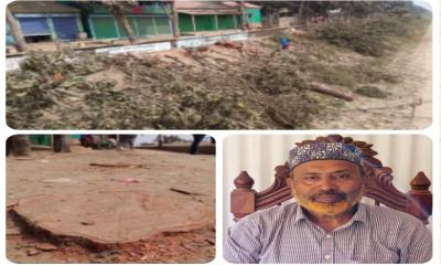 মিঠামইনে বেড়িবাঁধের গাছ কাটায় মামলা, প্রকৃত ঘটনা আড়ালের চেষ্টা, উপজেলা বিএনপির সভাপতির সকল পদ স্থগিত