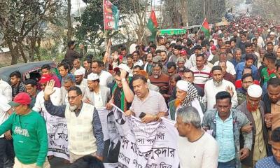 আদমদিঘি ও সান্তাহারে ঐতিহাসিক ধানের শীষের গণমিছিল