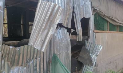 মোহনগঞ্জে  ড্রেন নিয়ে দ্বন্দ্ব, বাড়িতে হামলা-ভাঙচুরের পর ১৭ গরু লুট