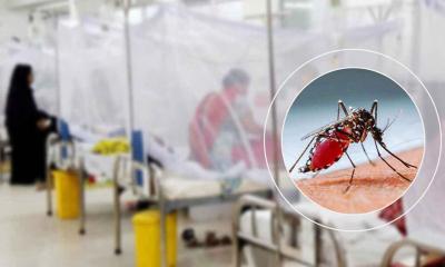 ডেঙ্গুতে একদিনে ৪ মৃত্যু, হাসপাতালে ভর্তি ১১৪৩
