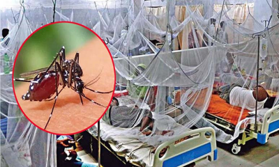 ডেঙ্গু আক্রান্তে শিশুসহ ২ জনের প্রাণহানি, হাসপাতালে ৩৩৭