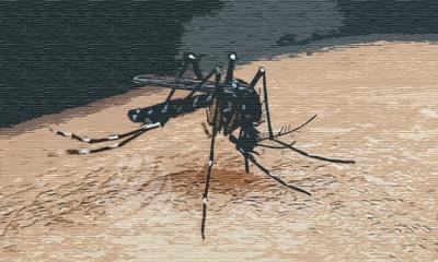 ডেঙ্গু আক্রান্ত হয়ে হাসপাতালে ভর্তি ৮৩৪ জন