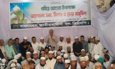 কিছু দল নির্বাচন নিয়ে ডাবল স্ট্যান্ডবাজি করছে : রিজভী