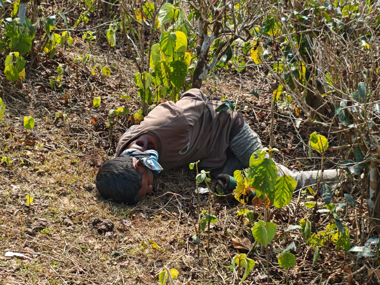 কমলগঞ্জের চা বাগানে শ্রমিকের গলা কাটা লাশ উদ্ধার