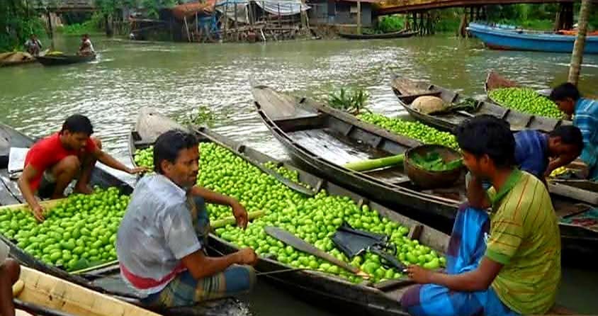 লেবুর রাজ্যখ্যাত ঝালকাঠিতে লেবুর আকাল, রমজানে লেবুর আকাশ ছোঁয়া দাম, প্রতি হালি ১০০ টাকা