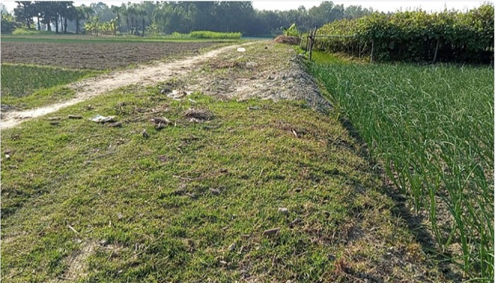 ধর্মপাশায় কাজ না করেই একাধিক প্রকল্পের টাকা আত্মসাৎ