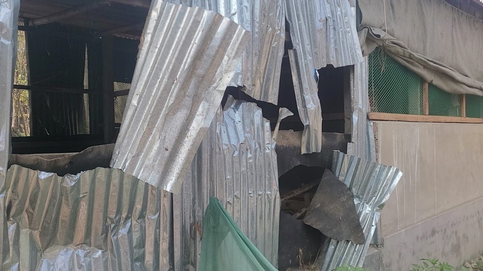 মোহনগঞ্জে  ড্রেন নিয়ে দ্বন্দ্ব, বাড়িতে হামলা-ভাঙচুরের পর ১৭ গরু লুট