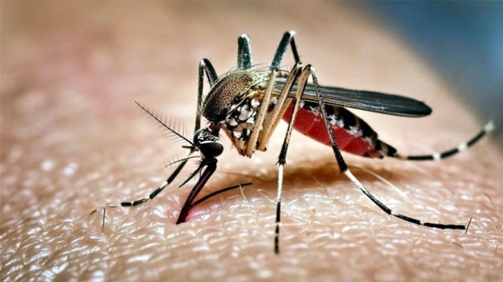 ডেঙ্গুতে প্রাণ গেলো আরও ৫ জনের, হাসপাতালে ১০৩৪ জন
